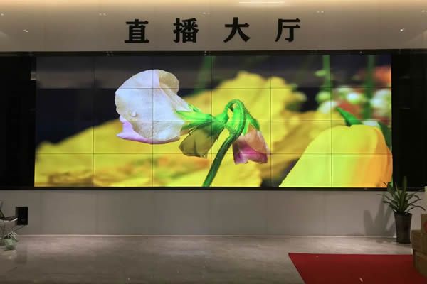 直播大屏用哪种好，直播大屏有哪些