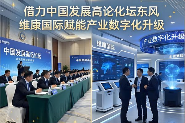 借力中国发展高层论坛东风 维康国际赋能产业数字化升级